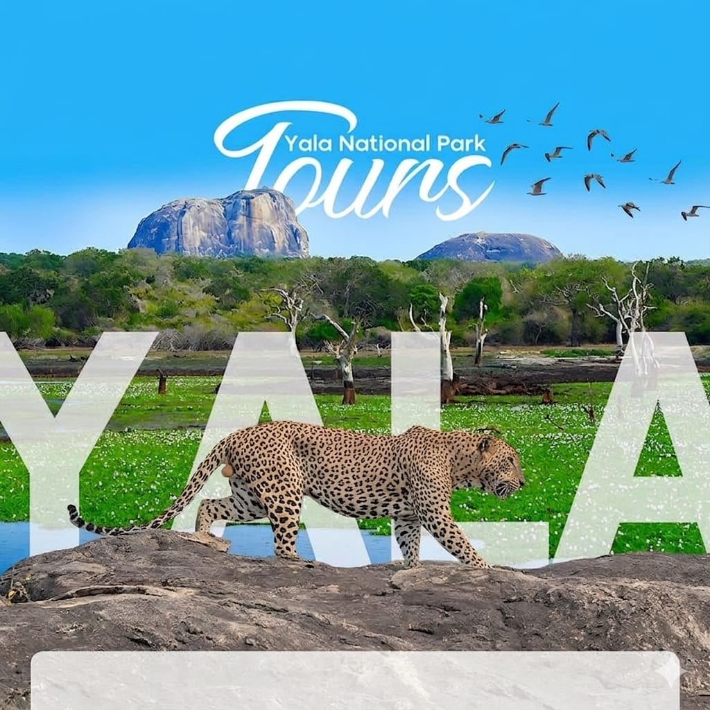 Yala Wildlife